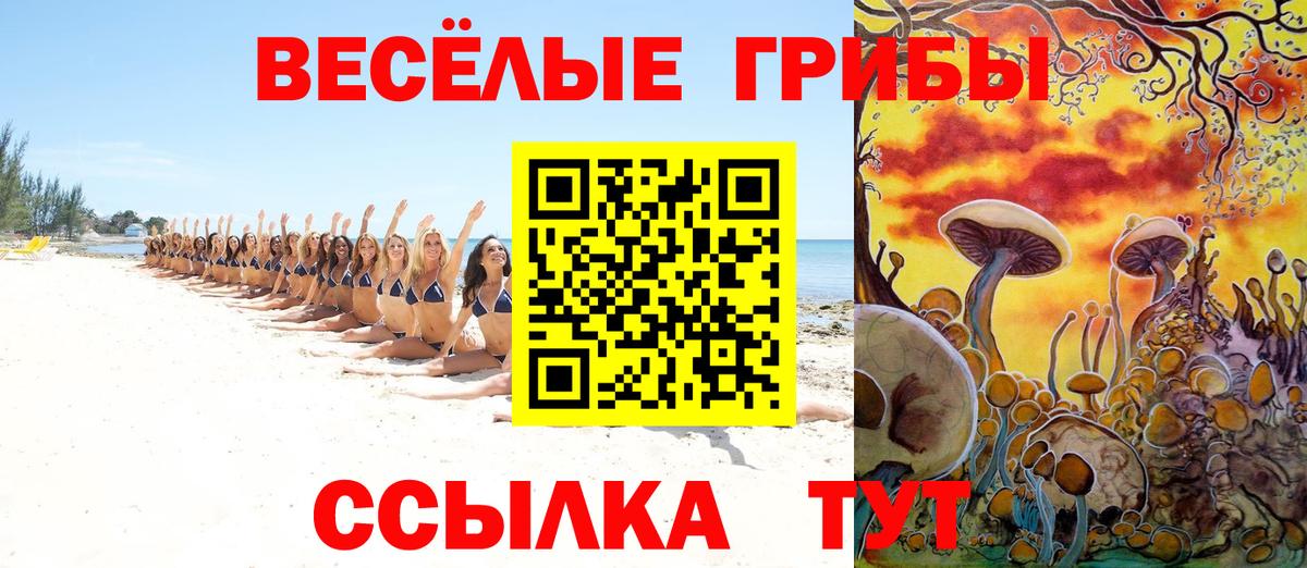 Галлюциногенные грибы мицелий  Псилоцибиновые грибы прущие грибы  Георгиевск  Вход с VPN 